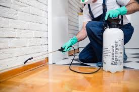 Best Real Estate Pest Inspections  in De Leon, TX